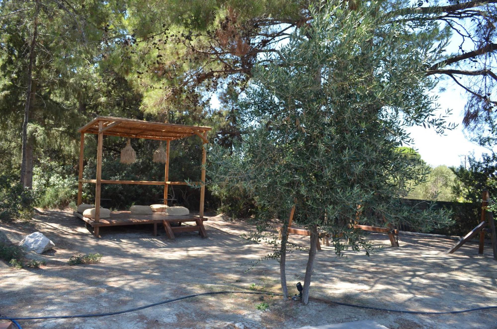 Cook's Club Rhodes Ialysos (Rhodes)